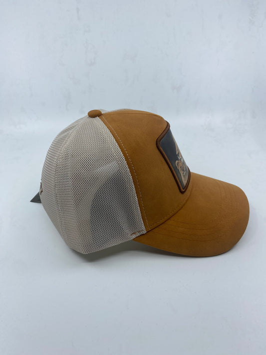 Black Ángel “León”